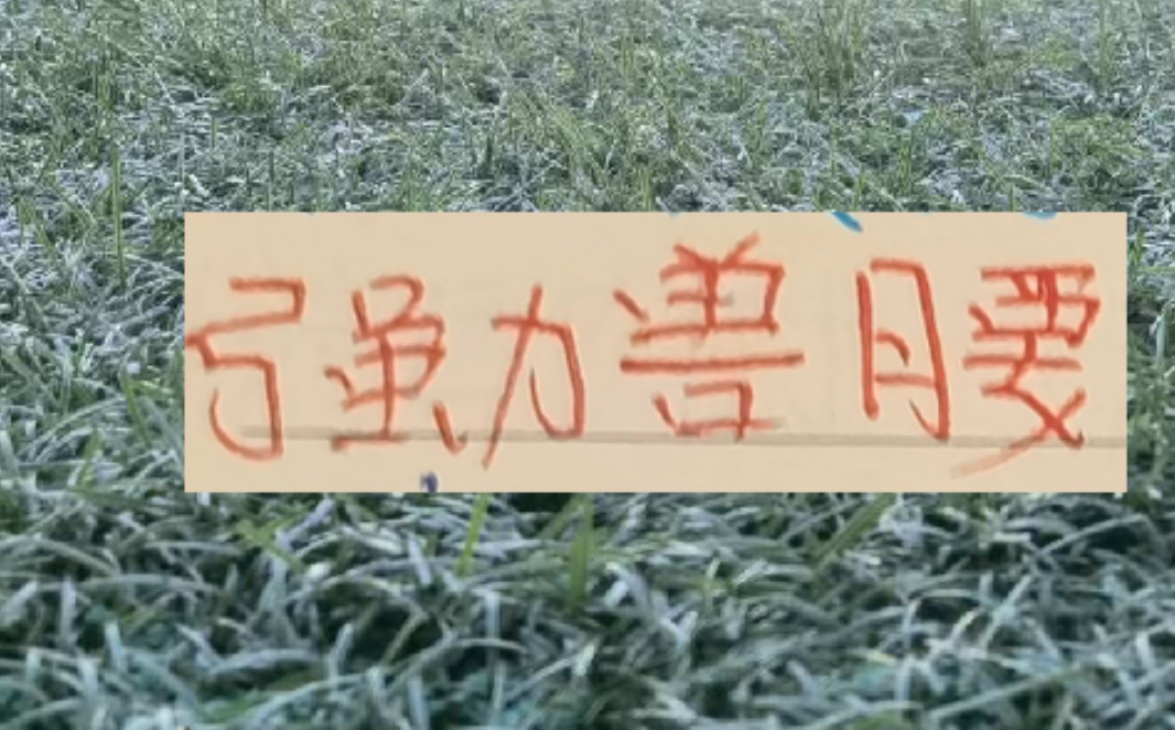 世界杯比赛在线观看平台-中超前4的后腰 反而申花是国产的兽腰 其他球队都是洋货